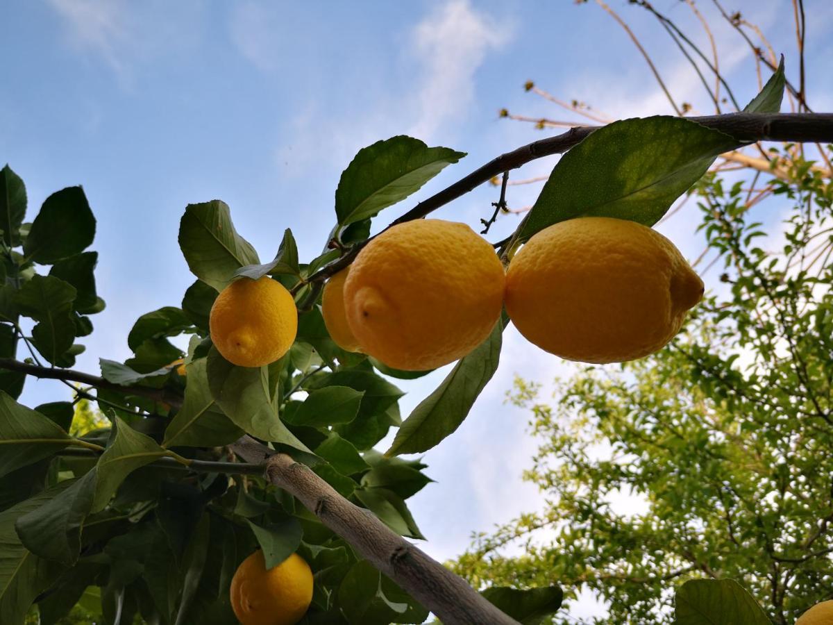 Casole dʼElsa Agriturismo Grecinella מראה חיצוני תמונה